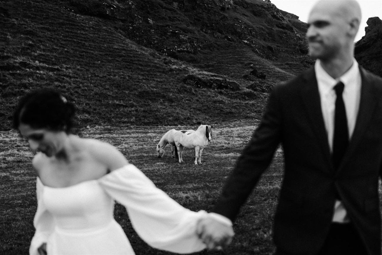 A bride and groom hiking through a field with Icelandic horses on their elopement day in Iceland.