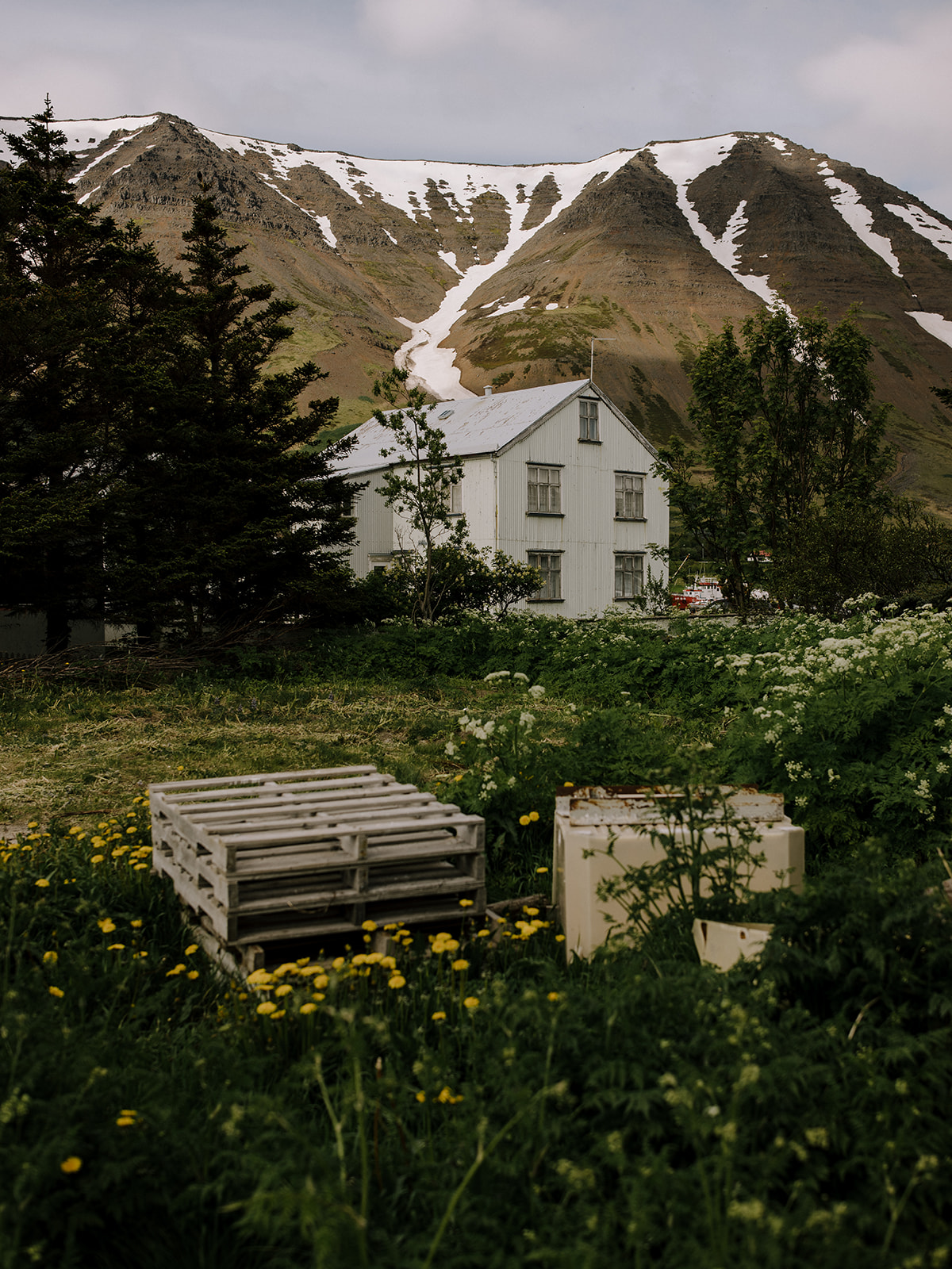 Elopement in Westfjords