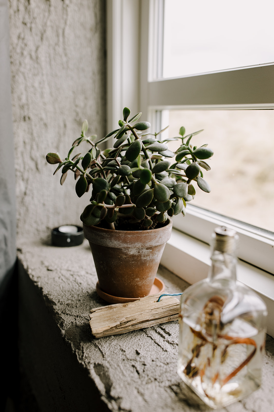 Cabin details in a windowsill. 